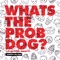 Whats the Prob Dog? (Let Me Think About It) - WISEKIDS & Ida Corr lyrics