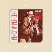 Pinetop Perkins - Sunny Road Blues