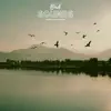 Bird Sounds Sleep & Relaxation - Single album lyrics, reviews, download