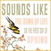 Sounds Like the Song of Life on the First Day of Spring - Single