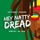 Hey Natty Dread (feat. Big Youth) artwork