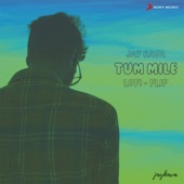 Tum Mile (Lofi Flip) artwork