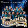 Después de Ti No Hay Nada - Single album lyrics, reviews, download