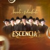 La Escencia Para Ti - Amarte y Perderte