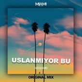 Uslanmiyor Bu artwork