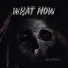 Stream & download What Now - Single