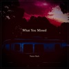 What You Missed - Single