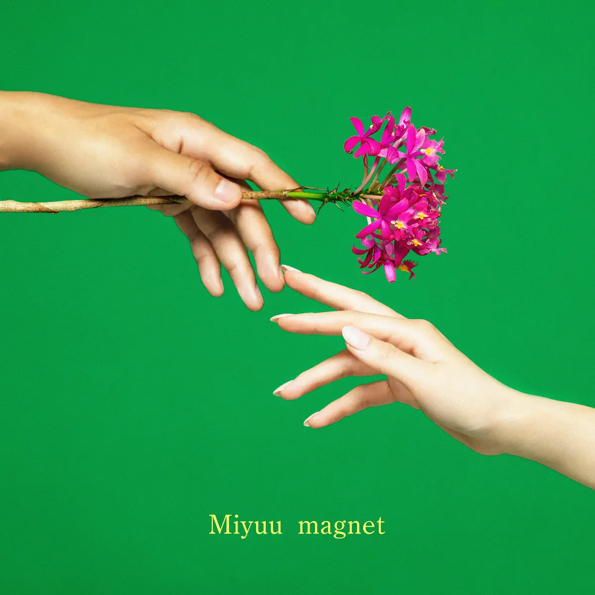 Miyuu - magnet - Single (2023) [iTunes Plus AAC M4A]-新房子