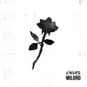 Milord artwork