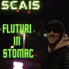 Fluturi In Stomac - Single
