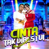 Cinta Tak Direstui (feat. Fendik Adella) artwork