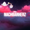 Nachbarherz - Single