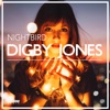 Nightbird - Single