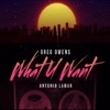 What U Want (feat. Antonio Lamar) - Single