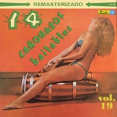 14 Cañonazos Bailables, Vol. 19 artwork