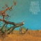 Big Backyard (feat. Old Crow Medicine Show) - Molly Tuttle & Golden Highway lyrics