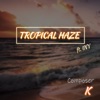Tropical Haze - Single
