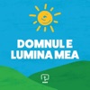 Domnul E Lumina Mea - Single