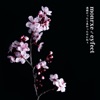 BLOSSOM - Single