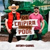 Os Caipira Também Pode - Single