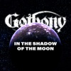 In the Shadow of the Moon - Single
