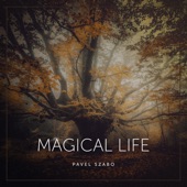 Magical Life artwork