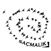 Saçmalık artwork