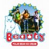 Polar Bear Ice Cream - Single
