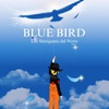 Blue Bird - Single
