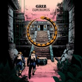 GRiZ - In This World