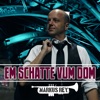 Em Schatte vum Dom - Single