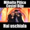 Hai uschiala (feat. Costel Biju) - Mihaita Piticu lyrics