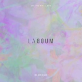 BLOSSOM - EP artwork