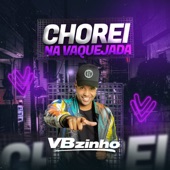 Chorei na Vaquejada artwork