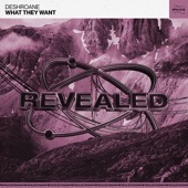 What They Want (Extended Mix) artwork