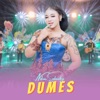 Dumes - Single