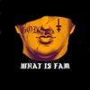 What Is Fam - EP