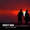 Why Me (feat. Liam Schnyder) - Rolf Schnyder lyrics