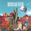 Whenever, Wherever - Single