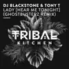 Stream & download Lady (Hear Me Tonight) [Ghostbusterz Remix] - Single