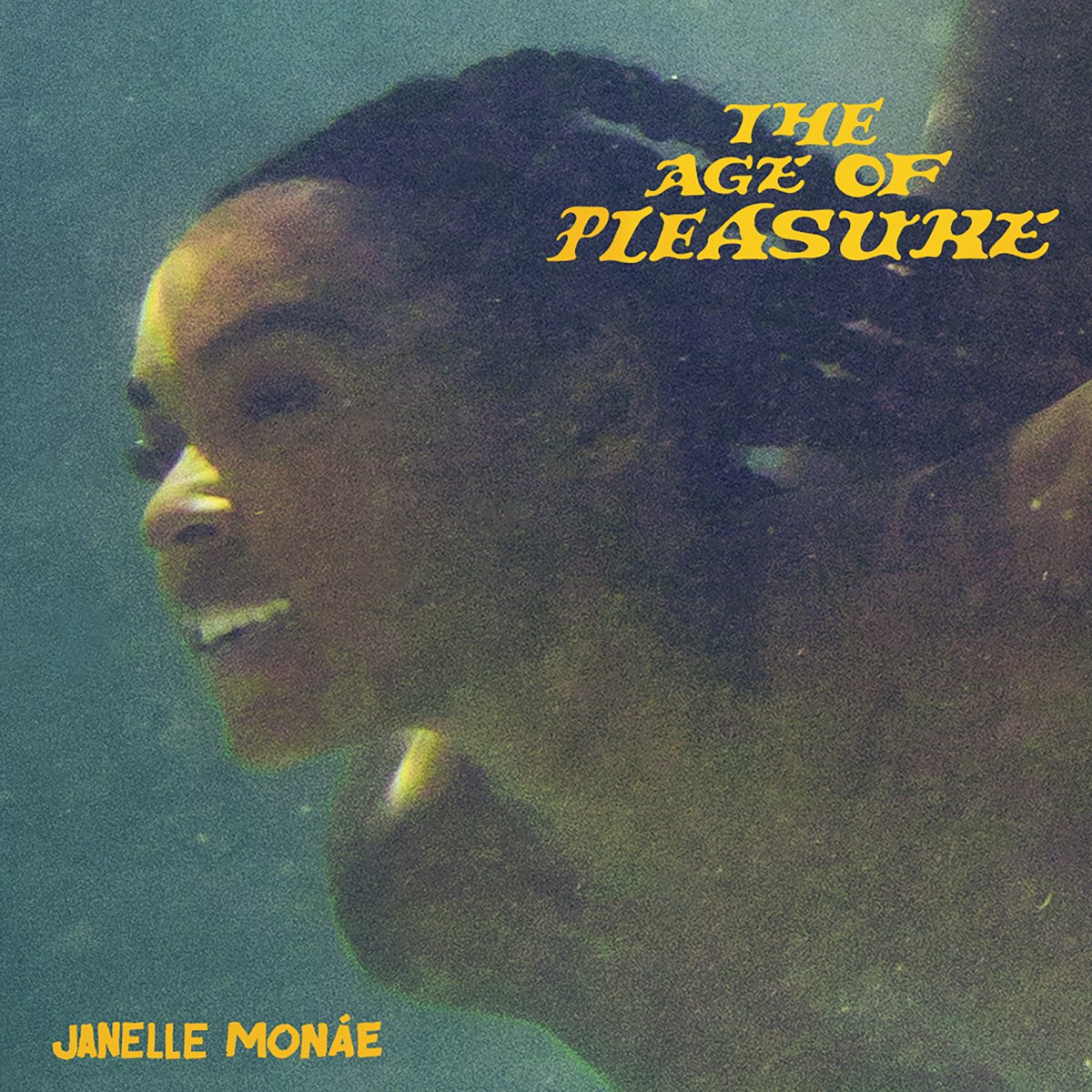 ‎The Age of Pleasure by Janelle Monáe on Apple Music