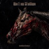 Ain't No Stallion - Single