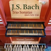 J.S. Bach: Trio Sonatas BWV 525-530 artwork