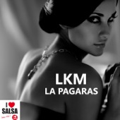 La Pagaras (Salsa Version) artwork
