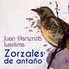 Zorzales de Antaño - Juan Darienzo - Lástima