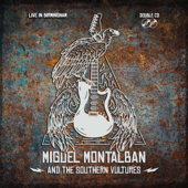 And the Southern Vultures Live in Birmingham (Live in Birmingham) - Miguel Montalban
