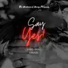 Say Yes (feat. Louise) - Single album lyrics, reviews, download