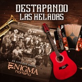 Destapando Las Heladas (En Vivo) - EP artwork