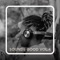 Dg - Moreno Corti,Riccardo Danese lyrics