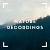 Natures Final Dance - Single album lyrics, reviews, download